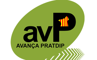 Avança Pratdip: Electoral Program